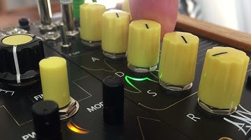 ENVgen Looping Envelope Generator ADSR Eurorack NoisyFruitsLab
