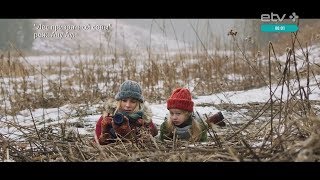 Будущее эстонского кино под вопросом: после стремительного взлета может настать кризис Будущее эстонского кино под вопросом: после стремительного взлета может настать кризис