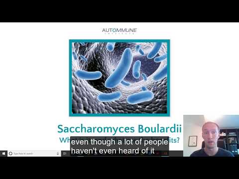 Saccharomyces Boulardii - what is it and what are the benefits?