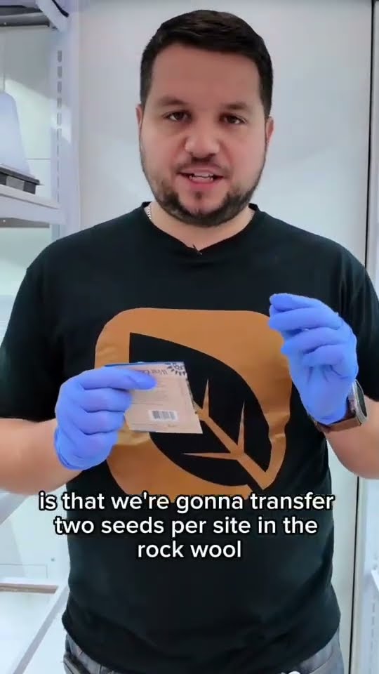 What we learned growing Stevia: Beware of germination rates 🥲 - YouTube