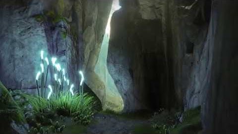 Perfect Video (Stationary) No Guns No HUD