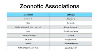 Microbiology Buzzwords & Associations