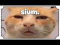 lo sai che se guardi questa live sei figo?