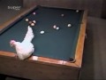 naked white chick playing pool
