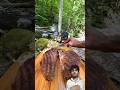 ASMR Wild Cooking: You Won't Believe the Size of This Meat! #shorts #recipe #cooking #shortsfeed