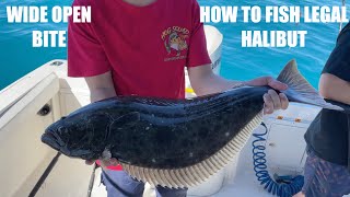 HOW TO FISH FOR LEGAL HALIBUT fishing Catalina island (NON STOP BITE)