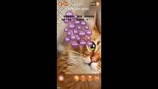 WORD PEARLS LEVELS 171, 172, 173, 174, 175, 176, 177, 178, 179, 180 ANSWERS screenshot 3