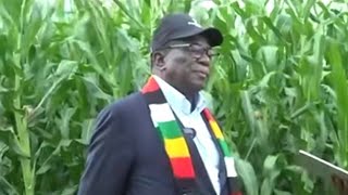 Ministers and ZANU PF officials that Mnangagwa does not trust.