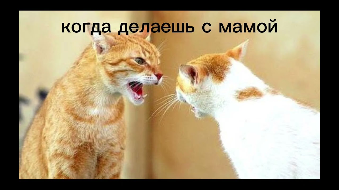 3 марта 2026 г.