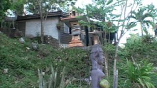 Coconut 36