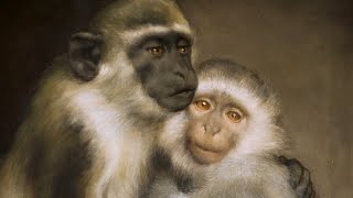 Learning the history of evolution and primatology by Stanford 2,932 views 13 days ago 2 minutes, 13 seconds