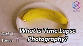 What is Time Lapse Photography - Time lapse plant growing - Banana timelapse