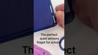 Famous The perfect quiet sensory fidget tool for the classroom #sensory #fidget #sensoryprocessing Net Worth