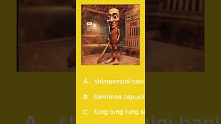 Anomalii Tung Tung Tung Sahurt