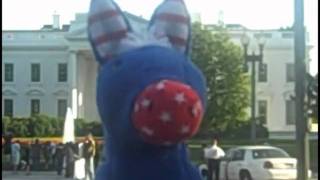 Obama Birther Blues - Bob & Bull #10