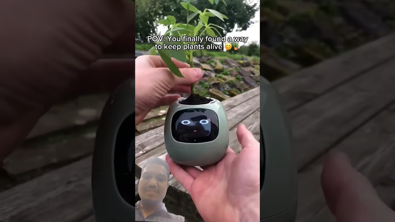 Digital Tree 🌴 Holder 