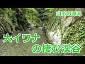 大イワナの棲む渓谷 / 山形の源流 / みちのく釣りの旅 ﾌﾗｲﾌｨｯｼﾝｸﾞ(4K) Fly Fishing