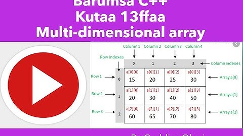 Barnoota C++ Kutaa 13FFAA(Multi-dimensional array IN C++)