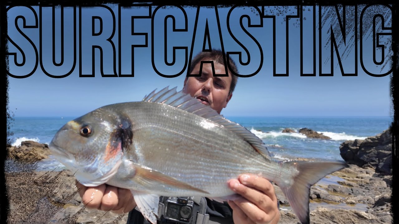 JORNADON SURFCASTING con DORADA XXL  Y SARGUETONES XXL !!!