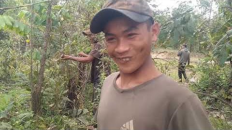 ĂN TÔM SỐNG || Bữa Cơm Trong Rừng EA SUP Cùng anh em || DH 47