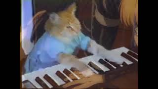 cat playing piano on anime soundtracks-Most emotional Piano instrumental of Anime Sad mix screenshot 4