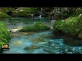 4K 映像 + 自然の音 / ASMR 美しい風景と渓流の音 3時間