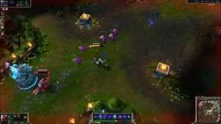 The Best ZED in The WORLD.