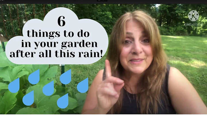 6 Things You Should Do in Your Garden After Too Much Rain! - DayDayNews