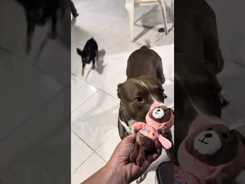 They sent us lots of little gifts, mom 🥹🤭🥰🥰🥰🥰