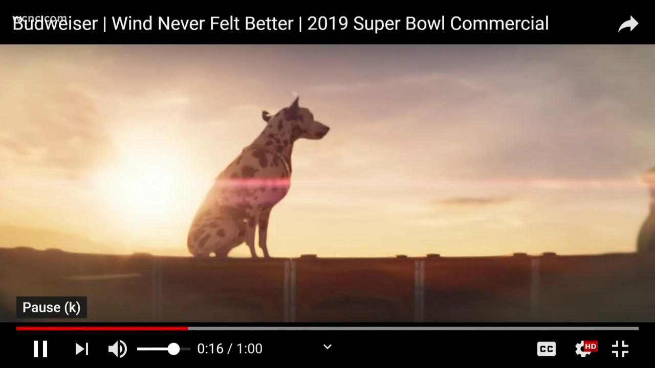 Budweiser's Super Bowl commercial is out with a message about the