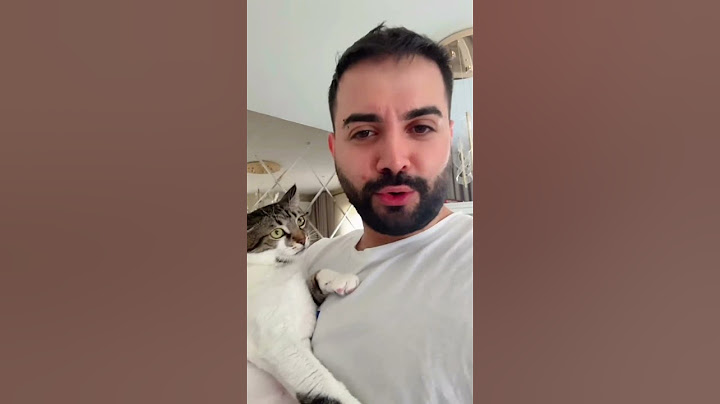Kadir Ezildi'nin Kedisi Pakize ile İmtihanı 😻