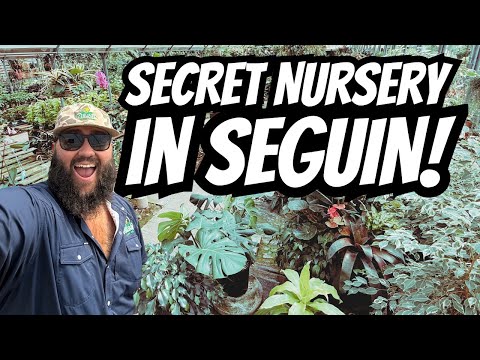 Hidden Tropical Paradise in Seguin, TX! | Green Gate Garden Center Tour!