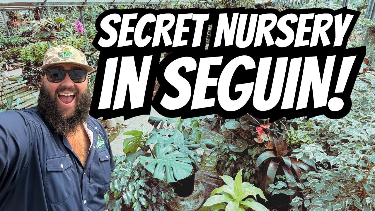 Скрытый тропический рай в Сегине, Техас! | Экскурсия по садовому центру Green Gate!
