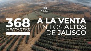 368 HECTÁREAS EN VENTA EN LOS ALTOS DE JALISCO