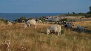 Geotourism - highlights of the North Estonian small islands
