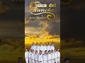 Banda la única del rancho - Miel Amarga [ Morena Music ] #shorts