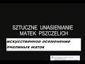 Искусственное осеменение маток Фильм №2  Институт научных фильмов  Германия