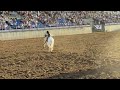 Bareback rider Cole Reiner scores 87.0 points on Vitalix Wild Thang to win the Central Wyoming Rodeo