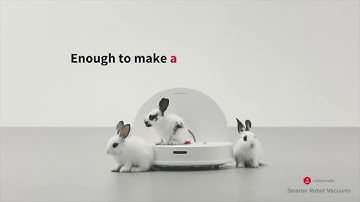 Roborock S6 | The Furry Floor Eliminator