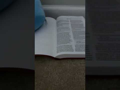 Number 1 #bible