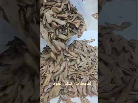 سوق الزل الرياض