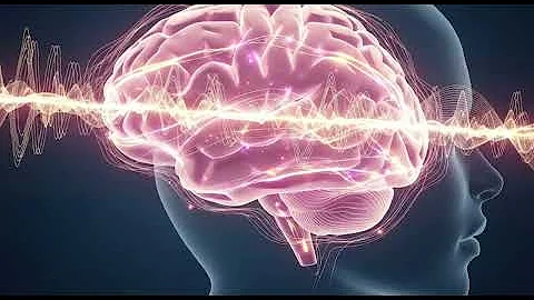 What Happens in a Woman’s Brain During Sexual Arousal