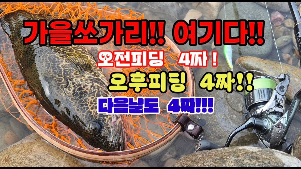 4짜 쏘가리가 빵빵터지는 이곳!! 늦은 오전에도 쏘가리는 움직인다!! 
