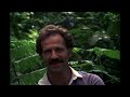 Overwhelming and Collective Murder (Werner Herzog)