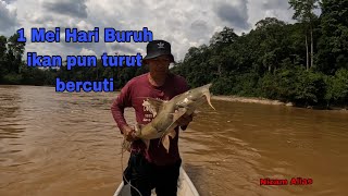 1 MEI HARI BURUH,IKAN PUN TURUT SAMA BERCUTI,KENERAK MONSTER PENYELAMAT KUMPAU