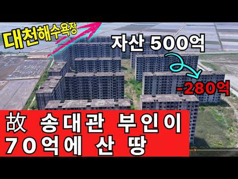 28 Billion Won in Debt, Seoul Home Auctioned Off, Surviving on Triangle Gimbap: The Truth Behind ...
