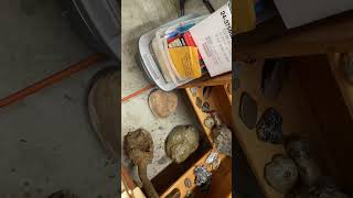 IMG 1078 IMG 1078