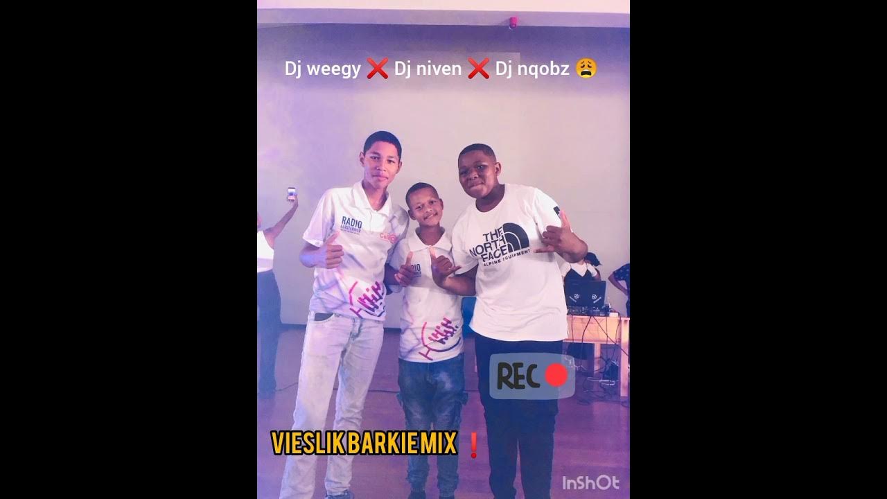 dj-weegy-dj-niven-dj-nqobz-vieslik-barkie-mix-youtube