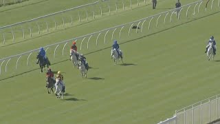 Pony racing is 'showcasing the skill of ponies and kids' on national television screenshot 4