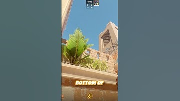 This Anubis Flash Is God Tier, Use it!